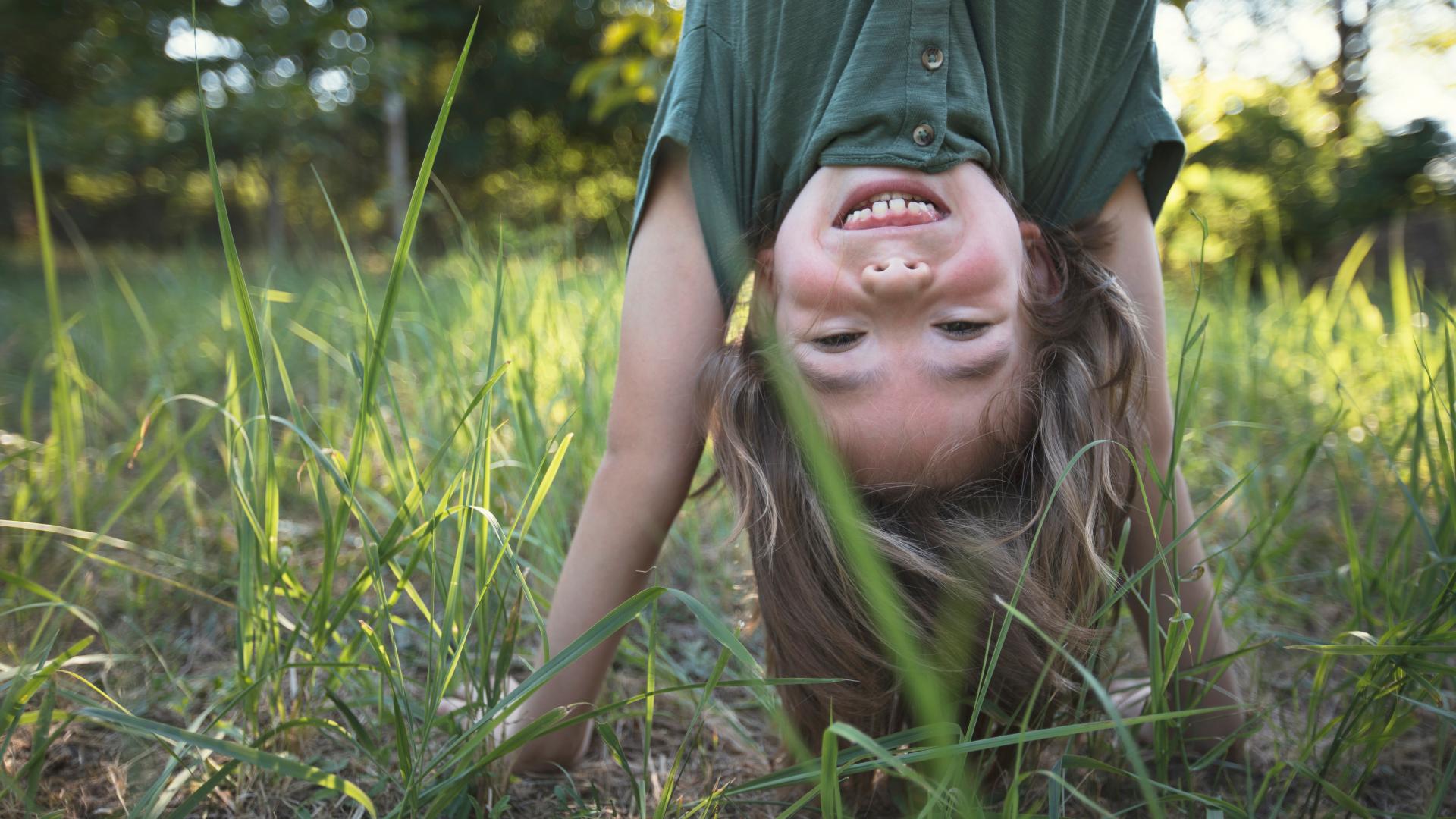 Cover Meerjarenstrategie Movisie